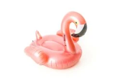 Rose Gold Flamingo -Zwembad Spul Winkel 15505001 Artikels 1