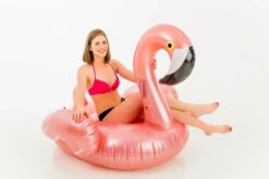 Rose Gold Flamingo -Zwembad Spul Winkel 15505001 WithModel 36