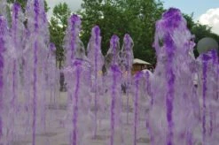 Aqua Couleur – Water Kleurstof -Zwembad Spul Winkel Aqua Couleur paars fontein 1