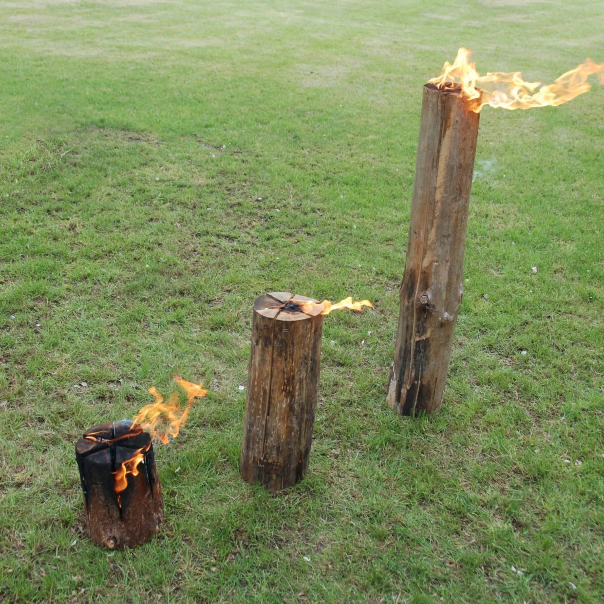 Boomstam Fakkel 3 Boomstam Fakkel - Afbeelding 3