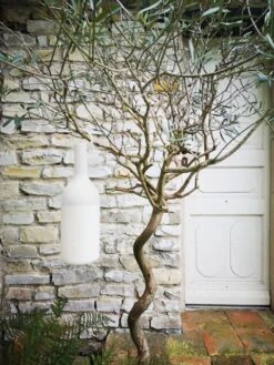 Elo Outdoor Tafellamp -Zwembad Spul Winkel Elo outdoor tafellamp wit