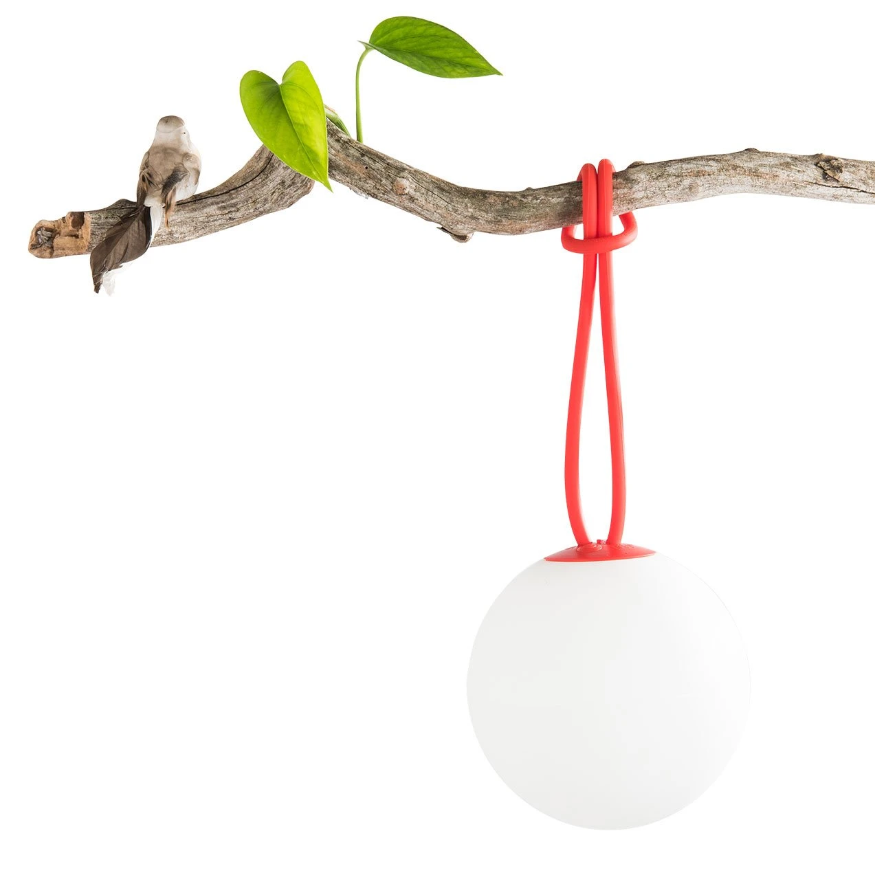 Fatboy Bolleke 1 Fatboy Bolleke