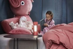 Fatboy Tjoepke 17 Fatboy Tjoepke -Zwembad Spul Winkel Fatboy Tjoepke Amsterdam0108 scaled 1