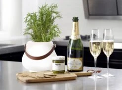 Luxx Bloempot LED Met Luidspreker -Zwembad Spul Winkel Led lantaarn 03