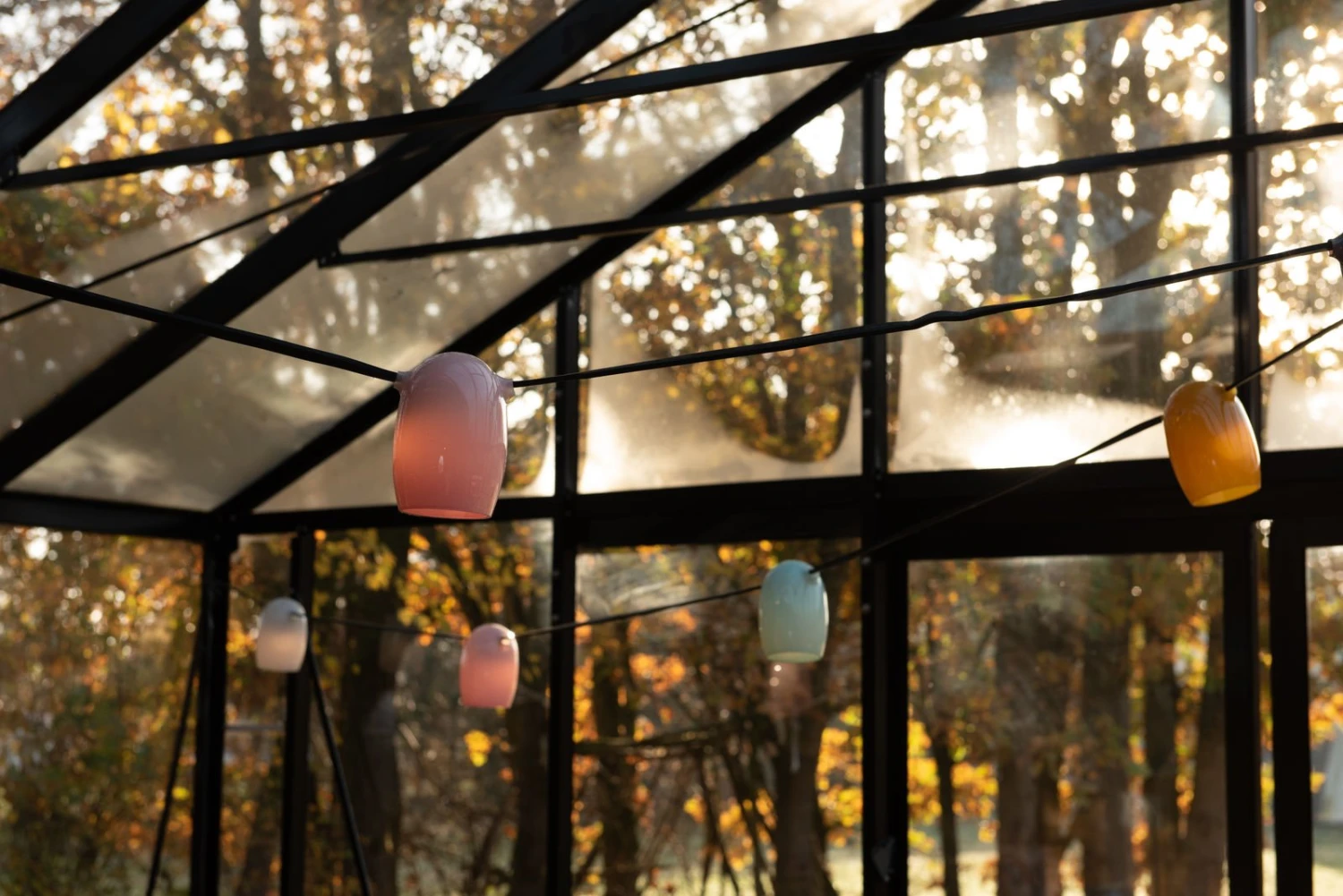 Lichtslinger Kleur 12 Lichtslinger Kleur - Afbeelding 12