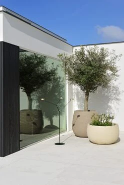 Mirai Tree Sfeerlamp -Zwembad Spul Winkel Mirai Tree sfeerlamp terras