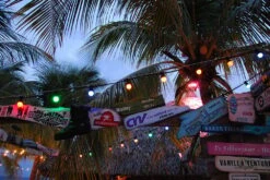 Bailey Prikkabel LED Slinger Lamp Kleur 1W BOX 5st -Zwembad Spul Winkel Prikkabel LED slinger 09 1