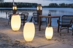 Synergy Wijnkoeler Met LED -Zwembad Spul Winkel Synergy wijnkoeler met LED 10