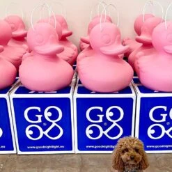 The DUCK DUCK S Lamp 16 The DUCK DUCK S Lamp -Zwembad Spul Winkel The Duck Duck Lamp Pink Edition 7