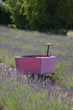 Wagon Tuinwagen -Zwembad Spul Winkel Tradewinds wagon 13