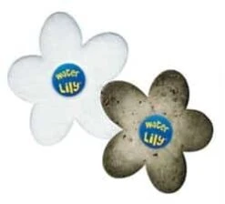 Waterlily 8 Waterlily -Zwembad Spul Winkel WATERLILY 2