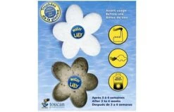 Waterlily 9 Waterlily -Zwembad Spul Winkel WATERLILY 3