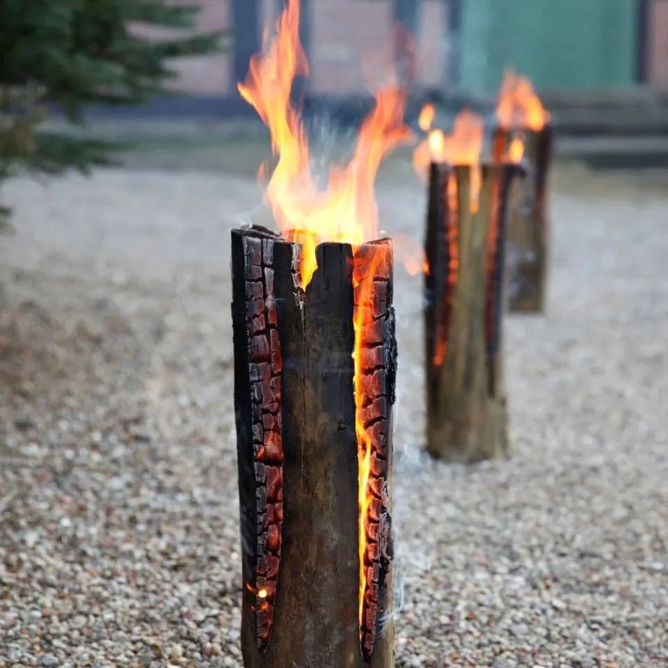 Boomstam Fakkel 5 Boomstam Fakkel - Afbeelding 5