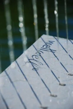 Wellwell 11 Wellwell -Zwembad Spul Winkel wellwell2 scaled scaled 1