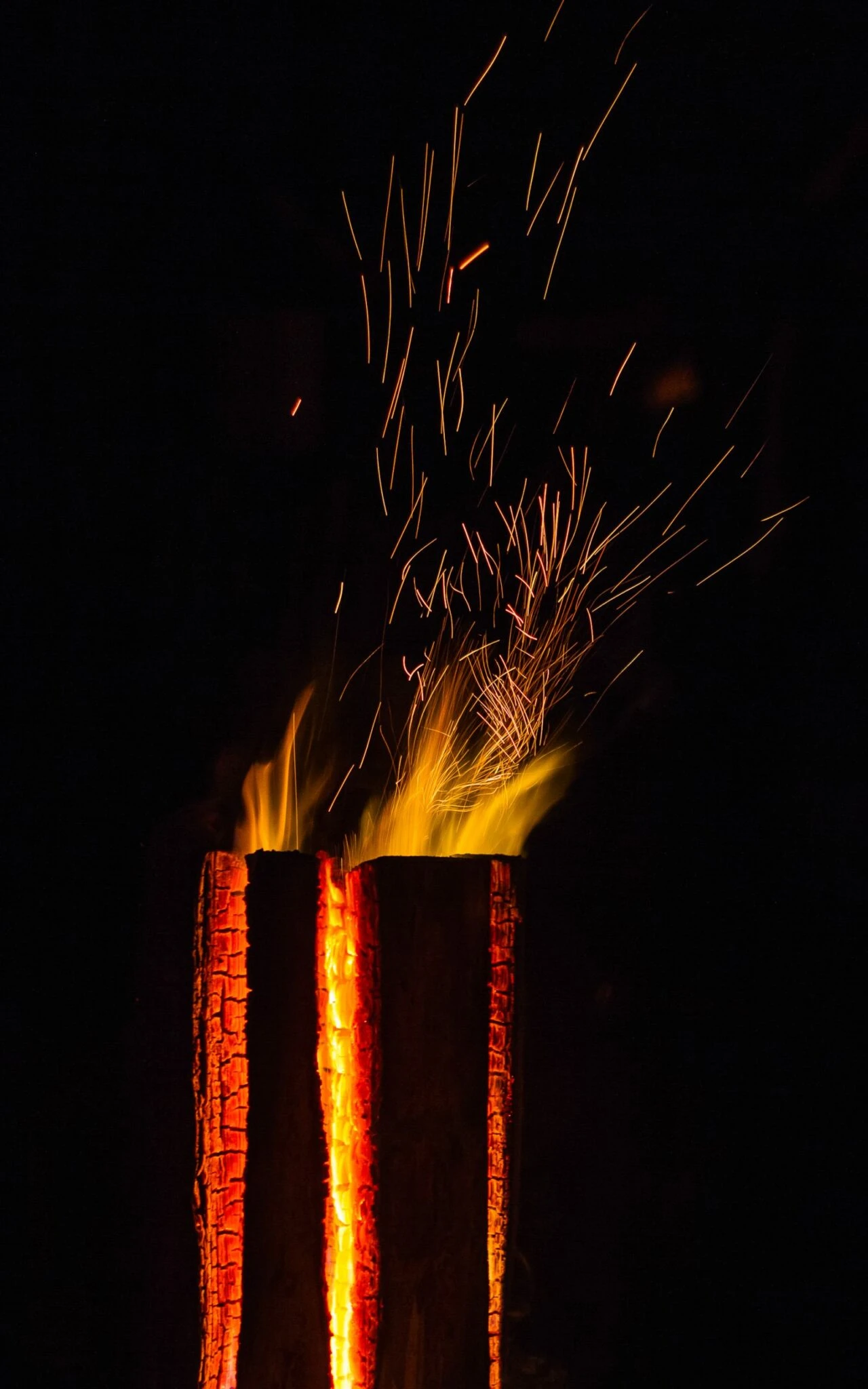 Boomstam Fakkel 6 Boomstam Fakkel - Afbeelding 6